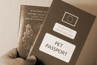 passports